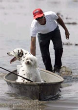 pet_rescue