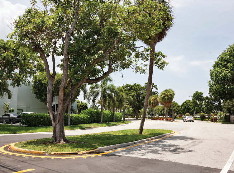 Traffic Calming Toolbox
