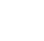 Government_W