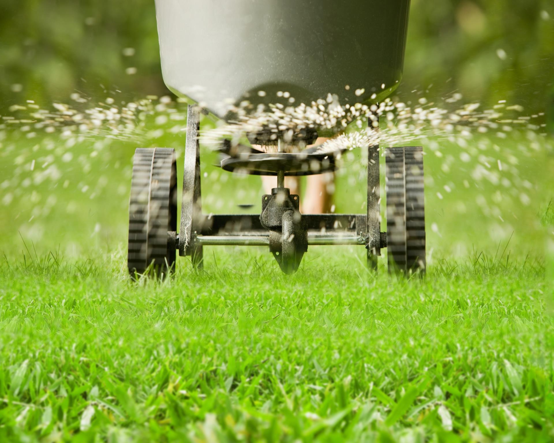 Summer 2026 Lawn Care Guide
