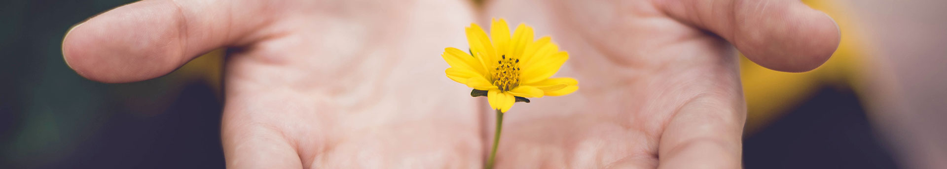 extended-hands