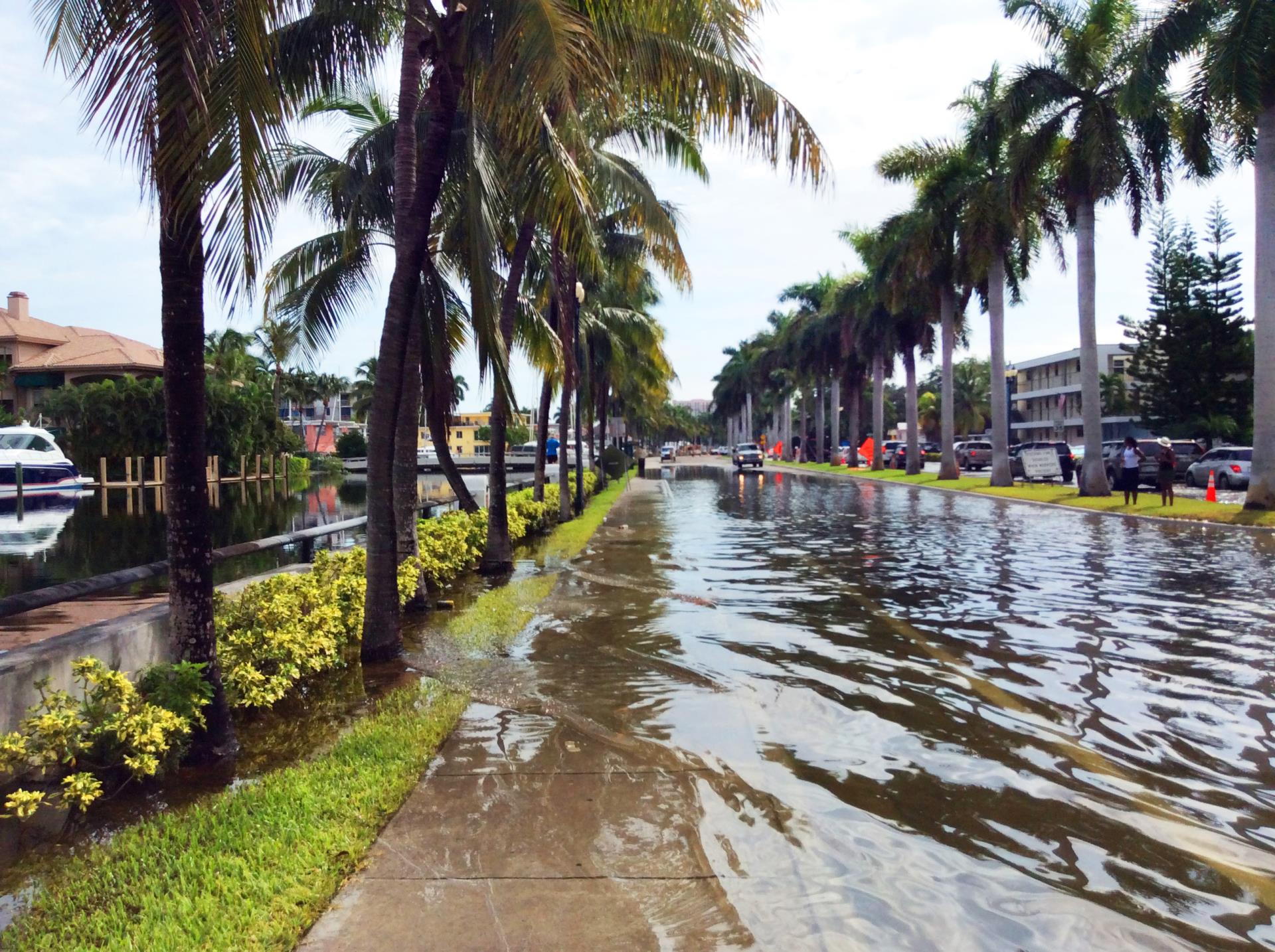 King Tides Flooding