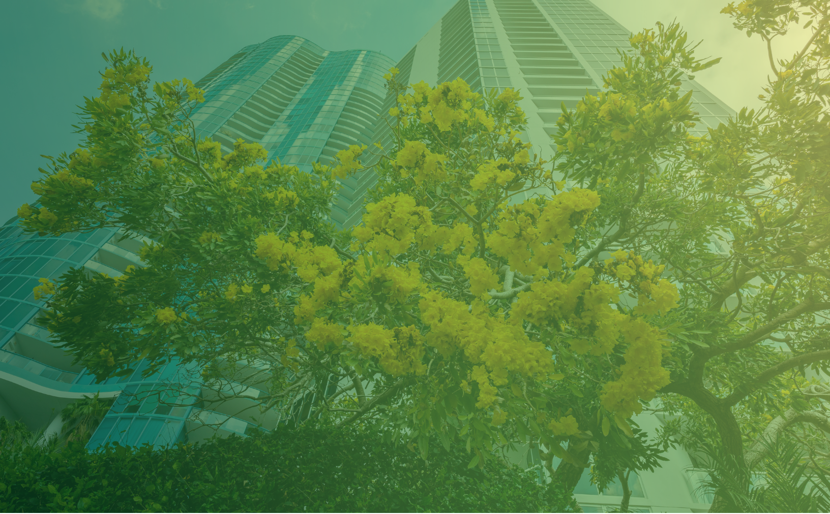 Header image with gradient